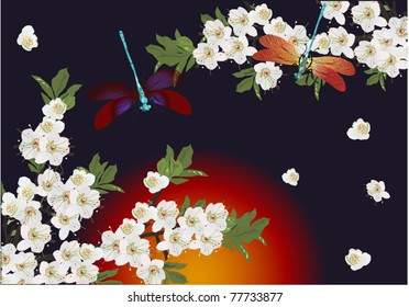 illustration with white flowers and dragonflies on dark background