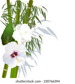 illustration with white flowers and green bamboo