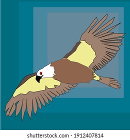 ilustración de un águila de cabeza blanca volando