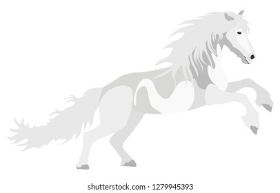 Illustration white Horse for the creative use in graphic design