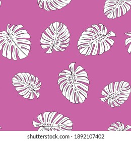 An Illustration of white leaves monstera isolated on a pink background. Seamless pattern