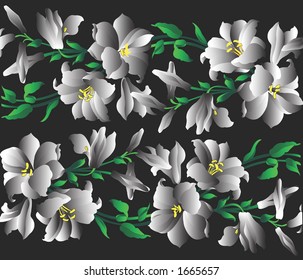 illustration ,white Lilly page on black background