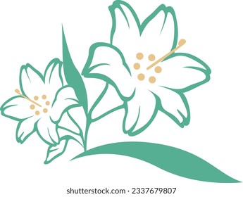 Illustration of a white lily