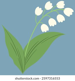 illustration of white lily suitable for sticker, clipart and other
