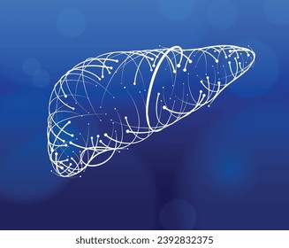 Illustration of white  lines and intersections of human liver, modern style, on darkblue background. It is used in medicine, commerce, industry and education.