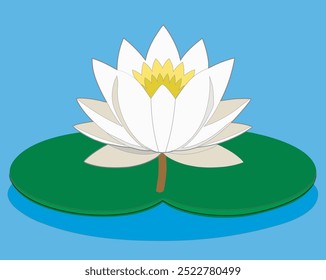 illustration of white lotus flower floating on water