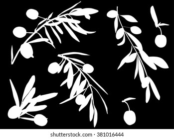 illustration with white olives collection isolated on black background