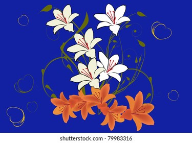 illustration with white and orange lily flowers on blue background