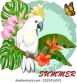 Illustration with white parrot.Color vector illustration with white parrot, tropical plants and frame with text.