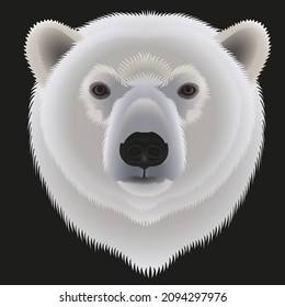 illustration of a white polar bear head on a black background