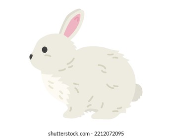 Illustration of a white rabbit seen from the side.
