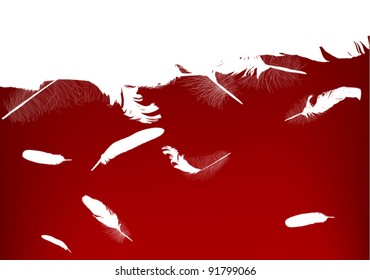 illustration with white and red feathers background