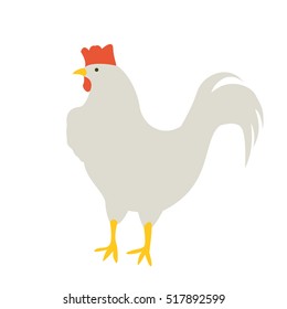 illustration of a white rooster on a light background