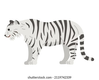 Illustration of a white tiger seen from the side.