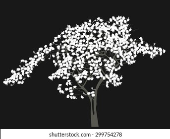 illustration with white tree blossom isolated on black background