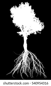illustration with white tree and root isolated on black background