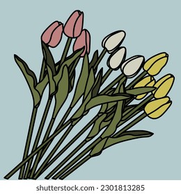 Illustration of a white, yellow, and pink tulip flower with stem and leaves