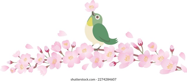 Illustration of a white-eye perched on a branch of cherry blossoms