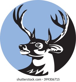 Illustration of a whitetail deer buck stag head looking to the side set inside circle done in retro style. 