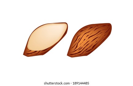Illustration of Whole Almond and Slice Almond Isolated on White Background, Good Source of Dietary Fiber, Vitamins and Minerals. 