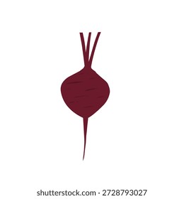 Illustration of a whole beetroot. Flat design of beetroot. Healthy vegetable. Healthy food. Illustration of tuber