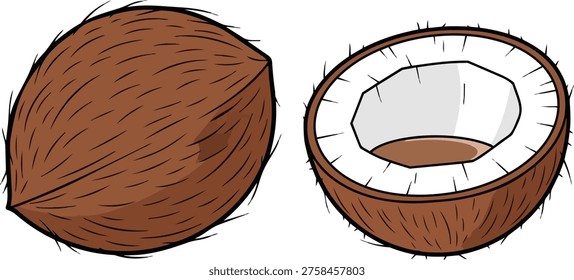Illustration of a whole coconut and a halved coconut, showcasing its texture and natural appearance.