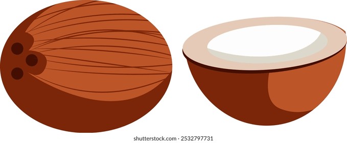 illustration of whole and cut coconut