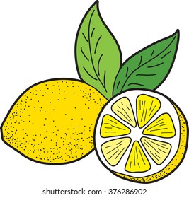 Illustration of whole and cut lemons with green leaves 