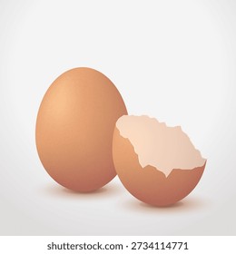 Illustration of a whole egg and a cracked eggshell on a clean white background in realistic design