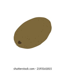 Illustration of a whole kiwi and kiwi slices. Vector drawing of fruit for design