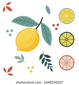 Illustration of a whole lemon, citrus fruit slices, and decorative leaves in a flat, modern style. Ideal for summer themes, food design, and healthy living concepts. Isolated on white.