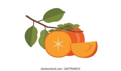 Uma ilustração de um caquis inteiro e um caquis fatiado mostrando o padrão estelar interno. O fruto é ligado a um pequeno ramo com várias folhas verdes isoladas sobre um fundo branco.