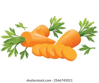 An illustration of whole and sliced carrots