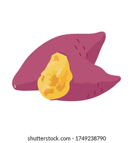 Illustration of whole sweet potato and sweet potato cut in half