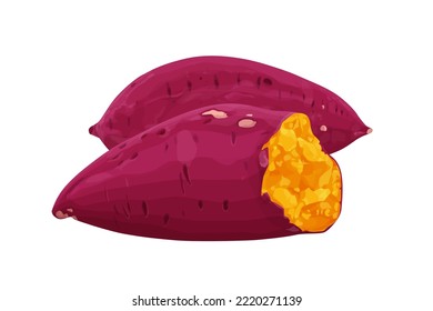 Illustration of whole sweet potato and sweet potato cut in half  A smoked yamVector eps 10. perfect for wallpaper or design elements