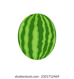 Illustration of  a whole watermelon. Fruit illustration for farmer's market menu. Isolated on a white background.