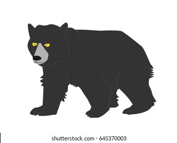 Illustration of a wild bear that becomes a pest.