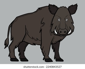 Illustration of wild boar vector