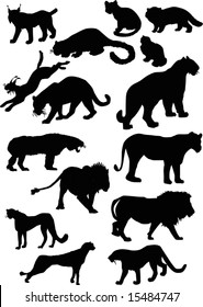 illustration with wild cat family silhouettes isolated on white background