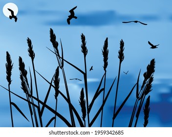 illustration with wild cereal black silhouettes and gulls