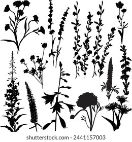 illustration with wild flower silhouettes collection isolated on white background