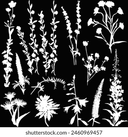 illustration with wild flower silhouettes collection isolated on black background