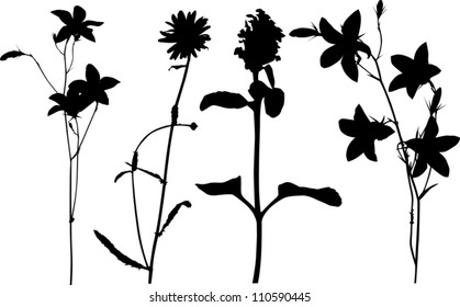 illustration with wild flowers silhouettes isolated on white