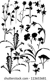 illustration with wild flowers silhouettes isolated on white