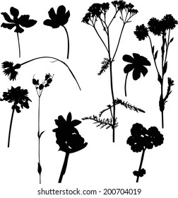 illustration with wild flowers silhouettes isolated on white