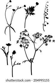 illustration with wild flowers silhouettes isolated on white