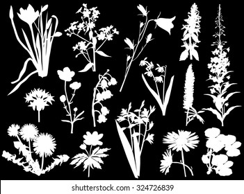 illustration with wild flowers silhouettes isolated on black background