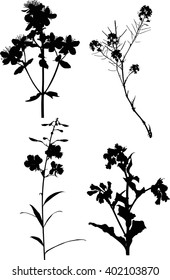 illustration with wild flowers silhouettes isolated on white