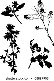 illustration with wild flowers silhouettes isolated on white