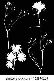 illustration with wild flowers silhouettes isolated on black background